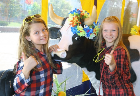 В центре Гродно прошел фестиваль сыра