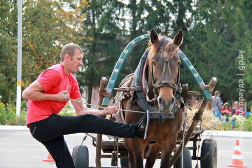 На Гомельщине прошел областной этап сельхоз проекта «Властелин села»