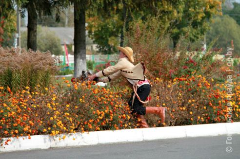 На Гомельщине прошел областной этап сельхоз проекта «Властелин села»