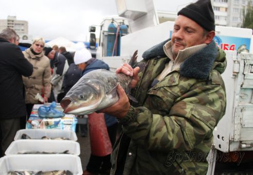 Рыбный день: в Гродно прошла рыбная ярмарка