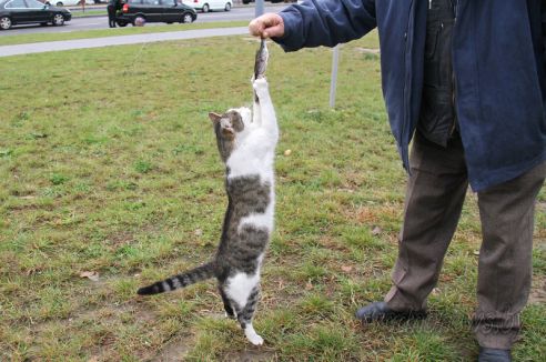 Рыбный день: в Гродно прошла рыбная ярмарка