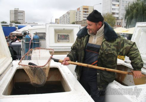 Рыбный день: в Гродно прошла рыбная ярмарка