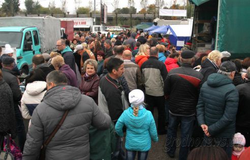 Рыбный день: в Гродно прошла рыбная ярмарка