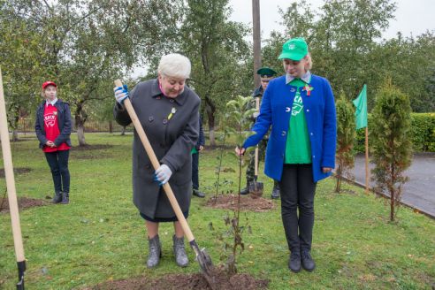 В честь Всемирного дня учителя в Гродненской области заложили семь яблоневых садов (ДОПОЛНЕНО)