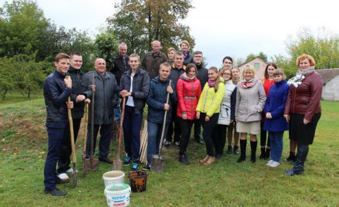 В честь Всемирного дня учителя в Гродненской области заложили семь яблоневых садов (ДОПОЛНЕНО)