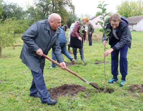 В честь Всемирного дня учителя в Гродненской области заложили семь яблоневых садов (ДОПОЛНЕНО)