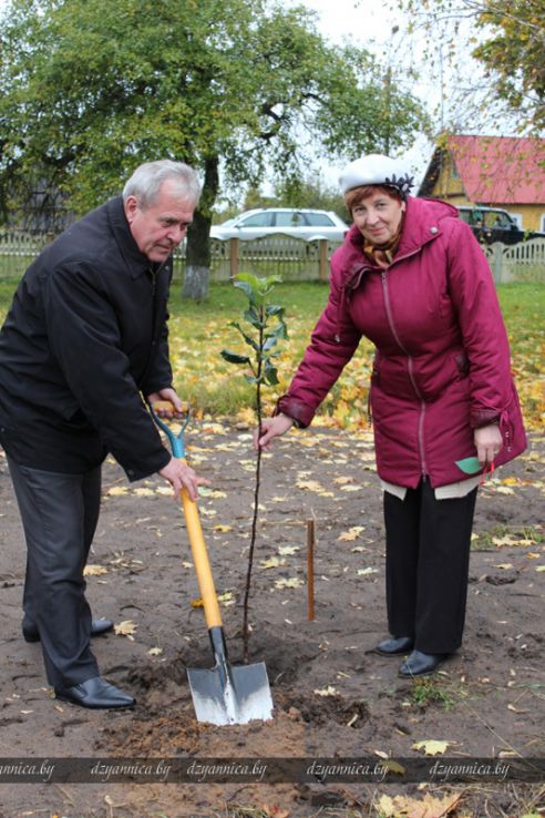 В честь Всемирного дня учителя в Гродненской области заложили семь яблоневых садов (ДОПОЛНЕНО)