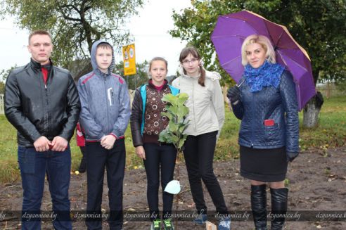В честь Всемирного дня учителя в Гродненской области заложили семь яблоневых садов (ДОПОЛНЕНО)