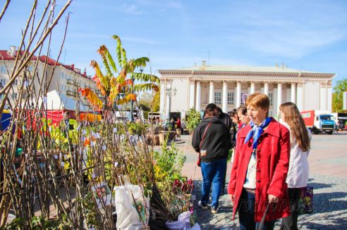 Продуктовое разнообразие: в Гродно прошла традиционная ярмарка «Золотая осень»