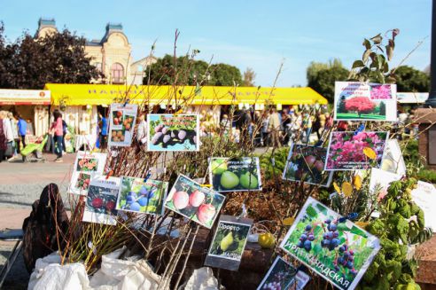 Продуктовое разнообразие: в Гродно прошла традиционная ярмарка «Золотая осень»