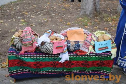 На Слонимщине прошел праздник картофеля "Знакомая незнакомка"