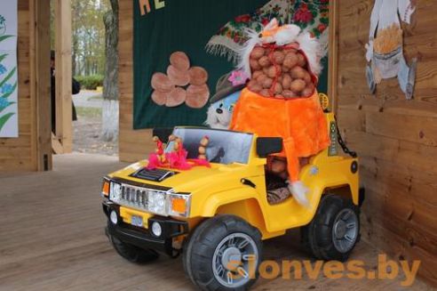 На Слонимщине прошел праздник картофеля "Знакомая незнакомка"