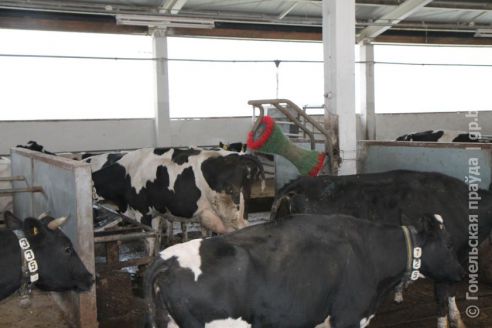 В Светлогорском районе мобильная группа не позволила пьяному трактористу покинуть сельхозпредприятие «Полесское»