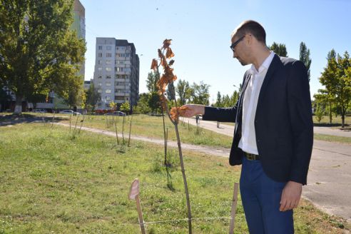Без былого размаха, но всё же. Как сегодня благоустраивается Советский район