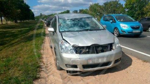 «Спасибо!» Родители пострадавшего в ДТП Никиты Шалаева заявляют, что деньги на лечение собраны
