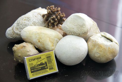 Гродненские эксперты освоили методику установления химического состава почечных камней