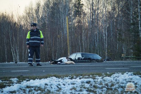Страшная авария на трассе под Светлогорском: двое погибших