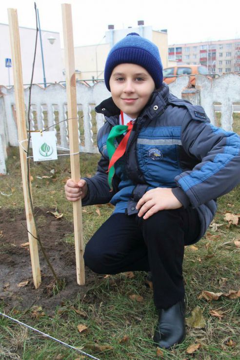 Пионеры посадили рябиновую аллею в честь 73-летия освобождения Хойникского района