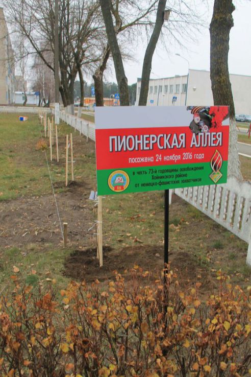 Пионеры посадили рябиновую аллею в честь 73-летия освобождения Хойникского района