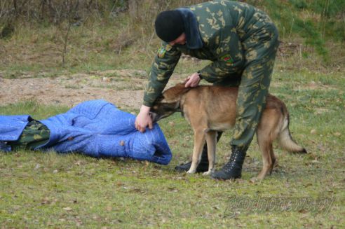 Юные суворовцы побывали в гостях у гродненских пограничников