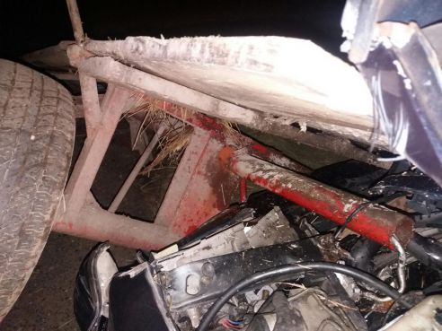 В д. Красная Дуброва Речицкого района мужчина на Mercedes протаранил четырёх женщин на гужевой повозке