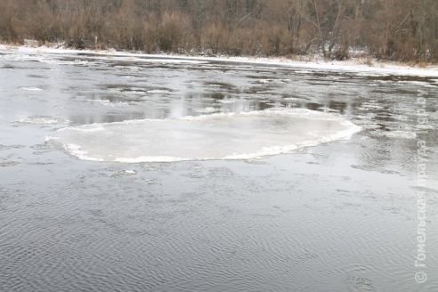 Фоторепортаж: первый день зимы в Светлогорске