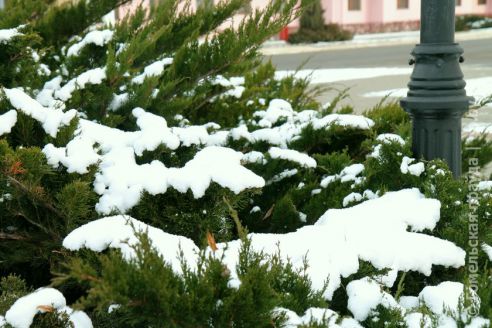 Фоторепортаж: первый день зимы в Светлогорске