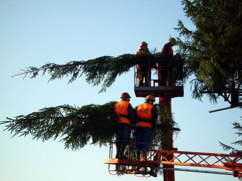 От советской до европейской. Как менялась главная городская ёлка Гомеля