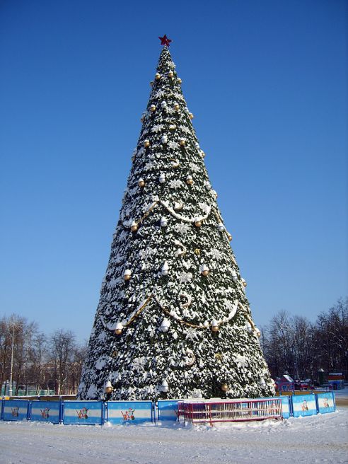 От советской до европейской. Как менялась главная городская ёлка Гомеля