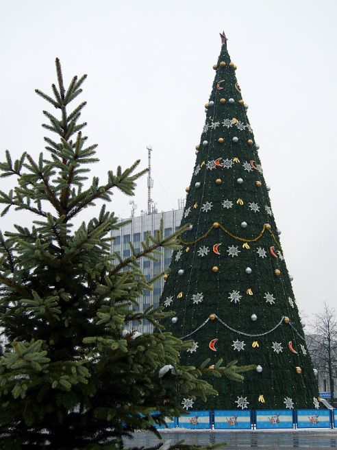 От советской до европейской. Как менялась главная городская ёлка Гомеля