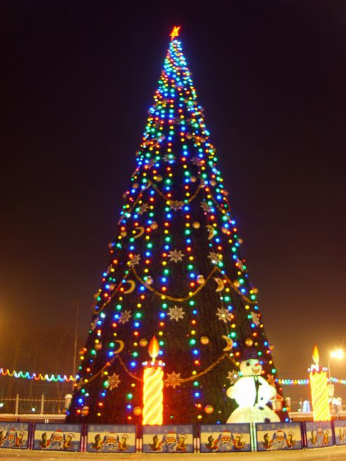 От советской до европейской. Как менялась главная городская ёлка Гомеля