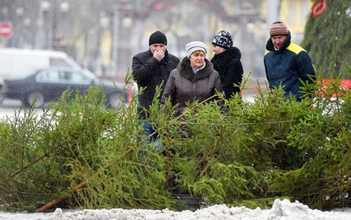 Ёлки, куры, мандарины и крымский чеснок. Узнали что почём на главной городской ярмарке