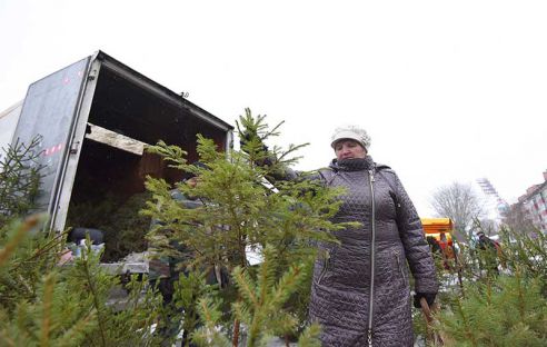 Ёлки, куры, мандарины и крымский чеснок. Узнали что почём на главной городской ярмарке