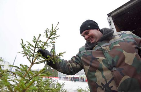 Ёлки, куры, мандарины и крымский чеснок. Узнали что почём на главной городской ярмарке