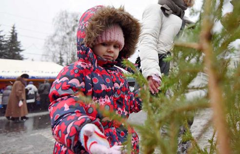 Ёлки, куры, мандарины и крымский чеснок. Узнали что почём на главной городской ярмарке