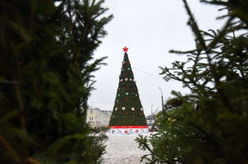 Ёлки, куры, мандарины и крымский чеснок. Узнали что почём на главной городской ярмарке