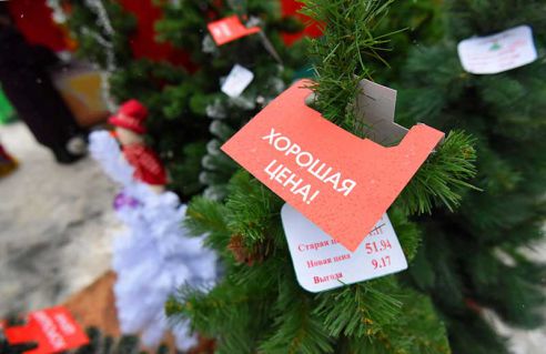 Ёлки, куры, мандарины и крымский чеснок. Узнали что почём на главной городской ярмарке