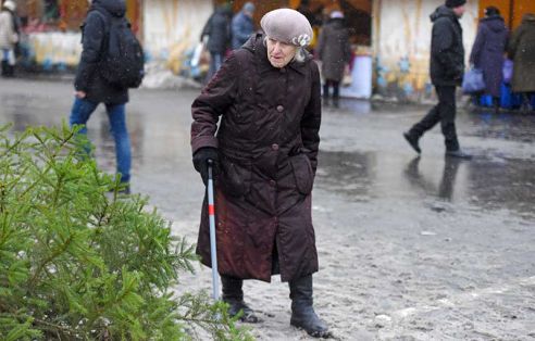 Ёлки, куры, мандарины и крымский чеснок. Узнали что почём на главной городской ярмарке