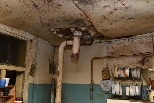 Жизнь под градусом и с душком. В Гомеле милиция проверила квартиры-притоны