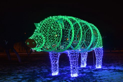 Огни со смыслом. В Советском районе водрузили на пьедестал Петуха и открыли световую ВДНХ