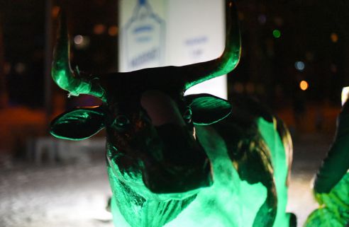 Огни со смыслом. В Советском районе водрузили на пьедестал Петуха и открыли световую ВДНХ