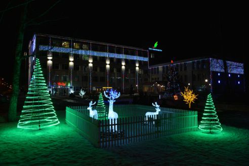 Огни со смыслом. В Советском районе водрузили на пьедестал Петуха и открыли световую ВДНХ