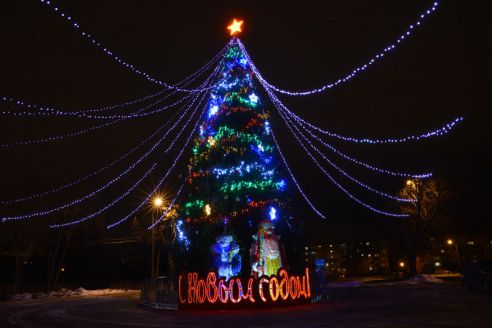 Огни со смыслом. В Советском районе водрузили на пьедестал Петуха и открыли световую ВДНХ