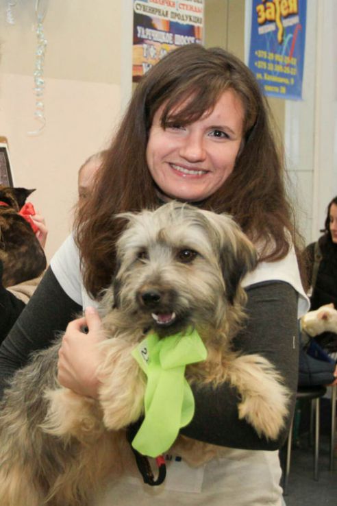 Гомельские волонтёры предлагают налог на собак расходовать на стерилизацию бродячих животных