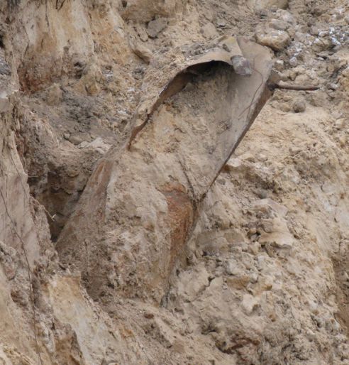 Под Светлогорском обезвредили авиабомбу, взрыв которой мог разрушить здания в радиусе 30 метров