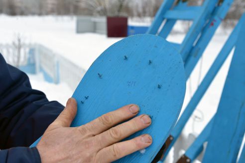 Сделано в ОСВОДе. Журналисты узнали, что в арсенале спасателей поста «Любенский»