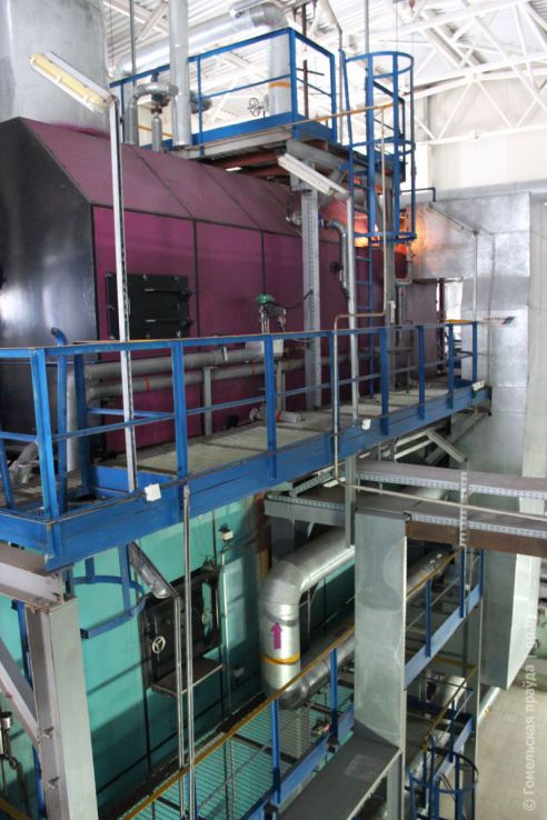 Мобильная группа облисполкома отправилась в Петриковский район