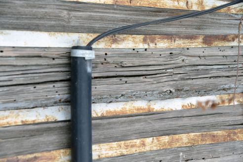 «Оно мне надо?». Гомельчане недовольны, что их дома наделили статусом историко-культурного наследия