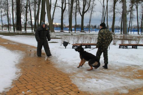 У Хойніках адзначылі Дзень абаронцаў Айчыны і Узброеных Сіл Беларусі