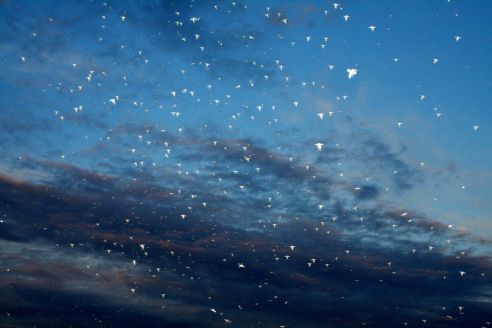 В Мозыре в городском Дворце культуры устроена фотовыставка Александра Зозули